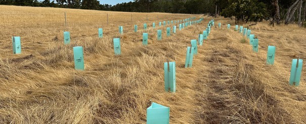 Landcare in Action – Blackwood Catchment habitat and water quality